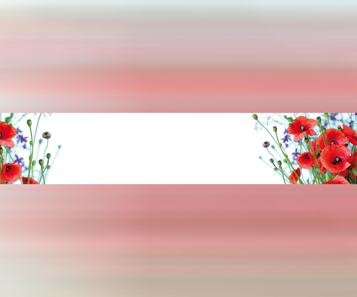 Принт гръб за модулни кухни Сити - PG 28